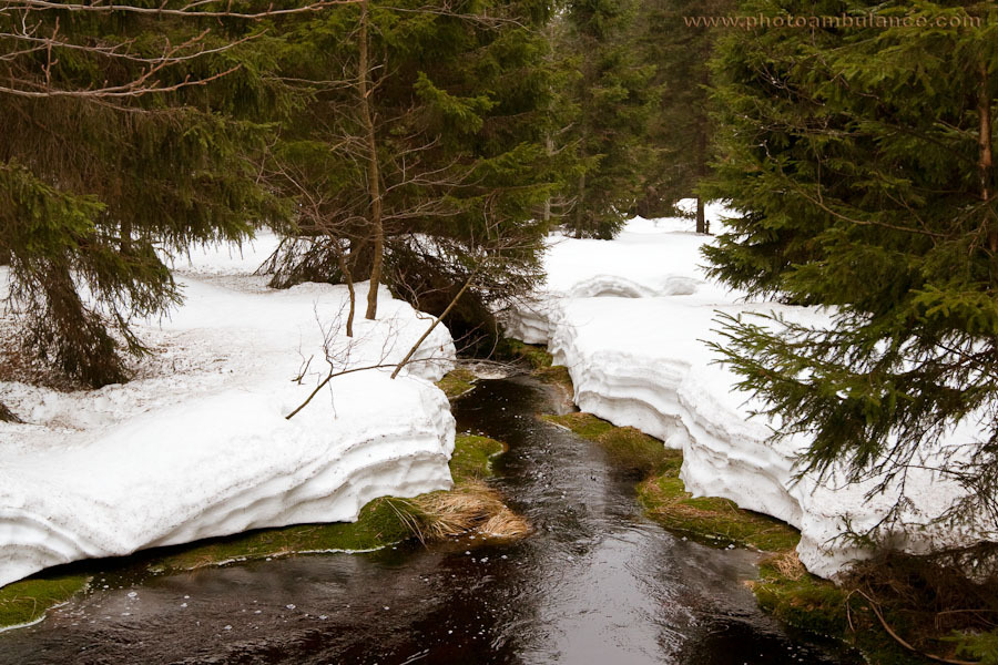 Harz IX - Enjoy!