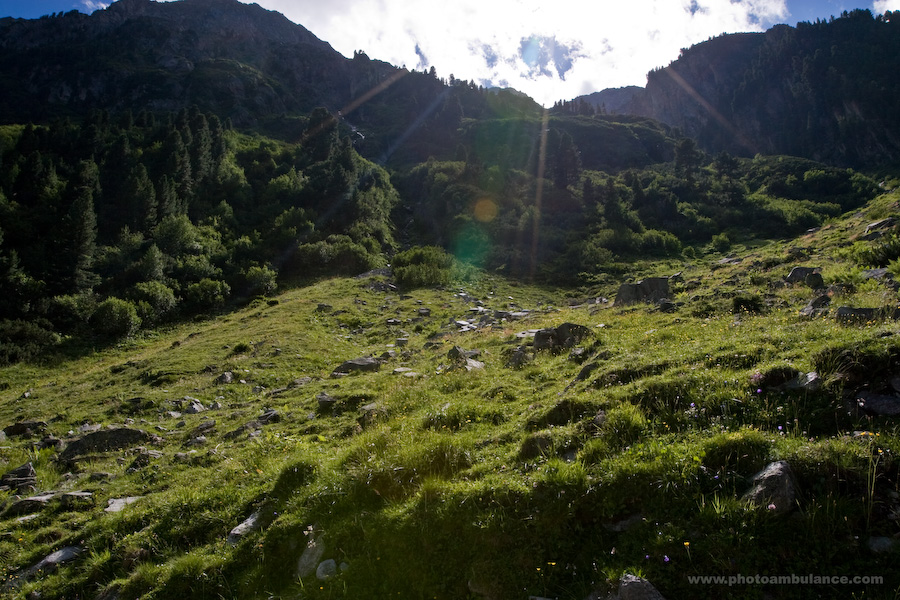 Alpine Magie